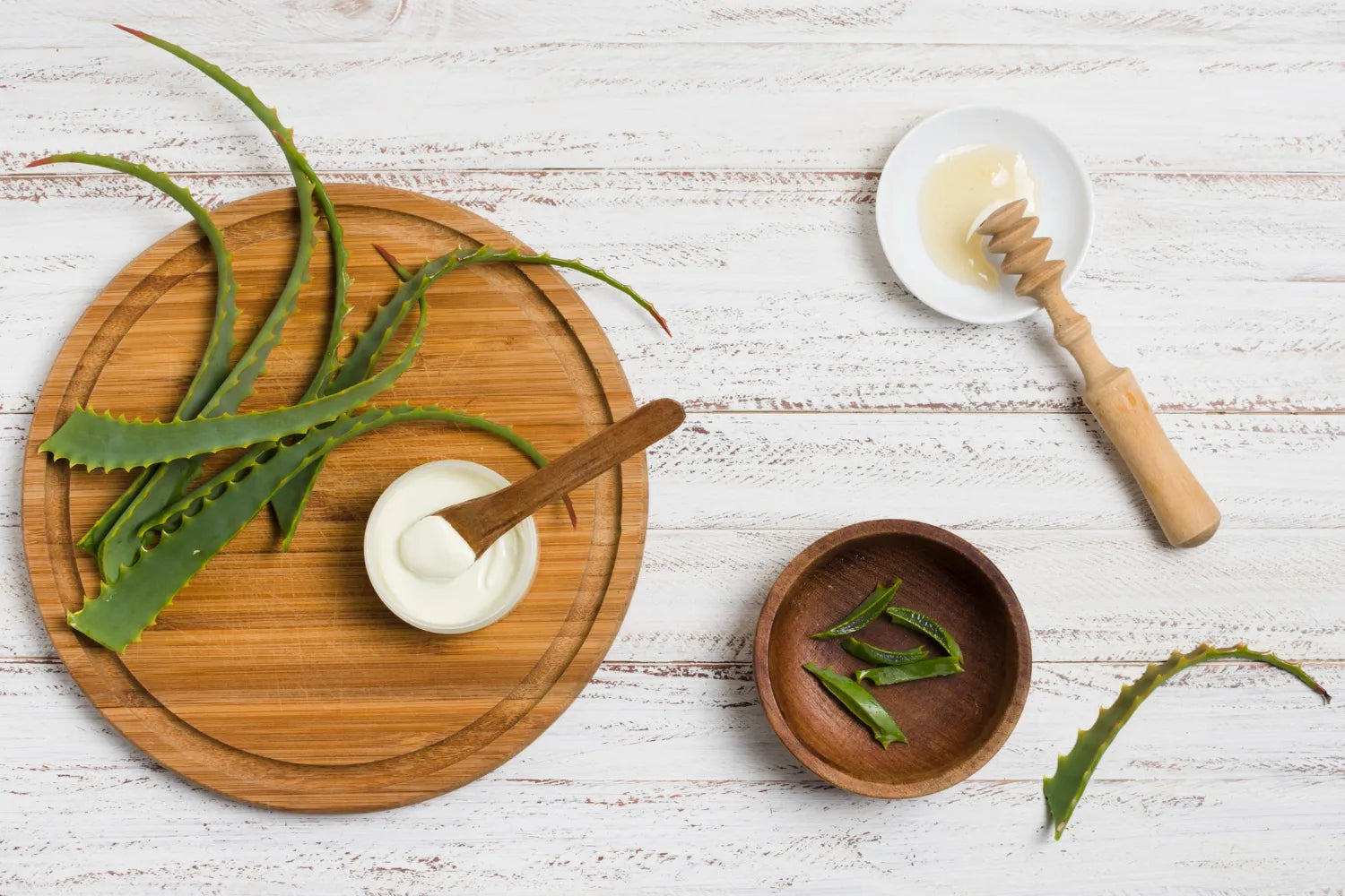 Aloe Vera Skin Products Every Natural Beauty Lover Should Try
