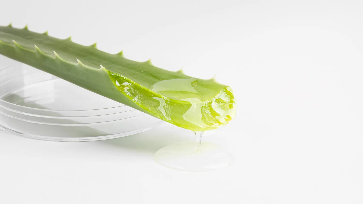 Aloe Vera Gel Moisturizer for Oily Skin: Lightweight Hydration