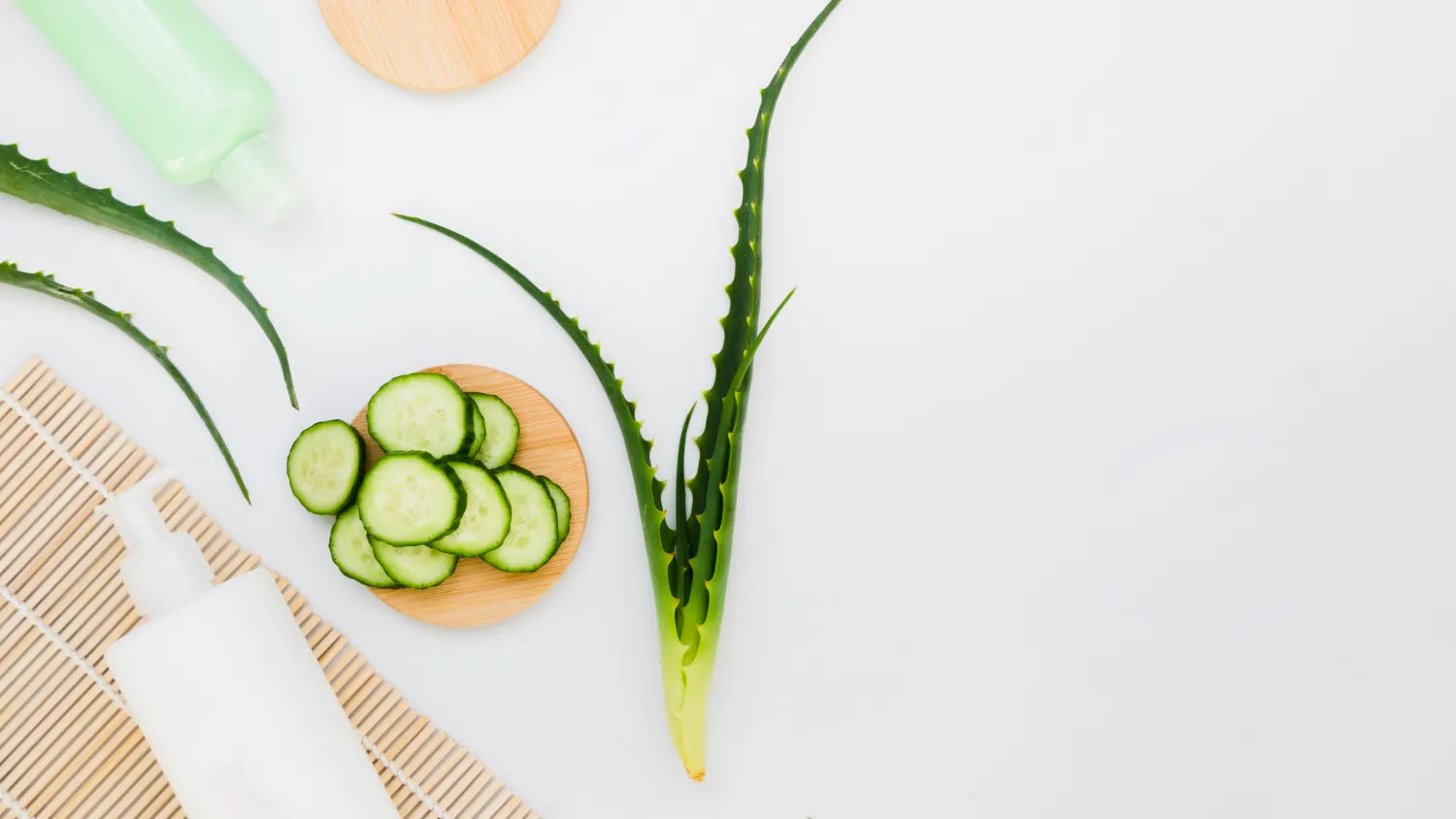 The Wonder of Aloe Vera: Your Everyday Solution for Skin and Hair Health