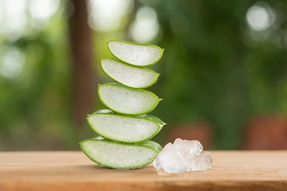 Combat Skin Irritation and Redness with Aloe Vera Body Care